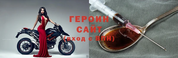 прущие грибы Гусиноозёрск