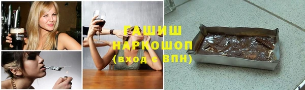 прущие грибы Гусиноозёрск