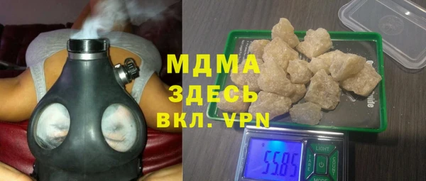прущие грибы Гусиноозёрск