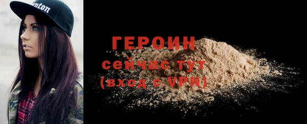 прущие грибы Гусиноозёрск
