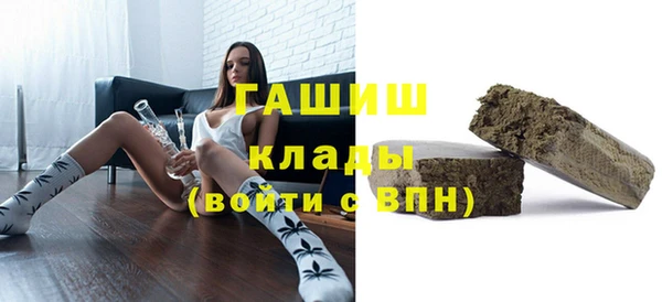 прущие грибы Гусиноозёрск