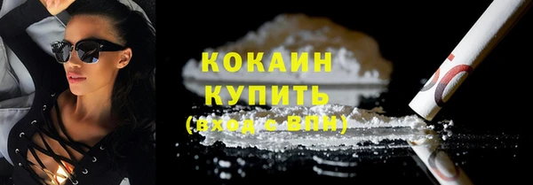прущие грибы Гусиноозёрск