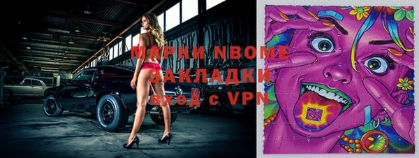 прущие грибы Гусиноозёрск