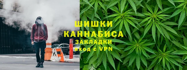 метадон Гусев
