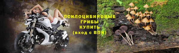 герыч Гусь-Хрустальный