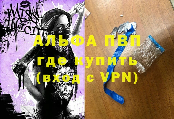 прущие грибы Гусиноозёрск