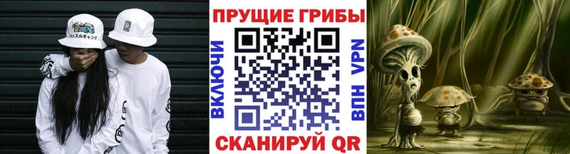 KRAKEN tor  купить   Краснозаводск  Галлюциногенные грибы MAGIC MUSHROOMS 
